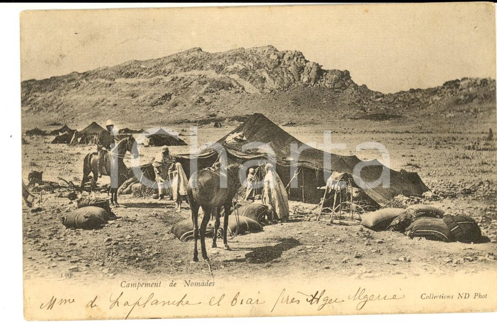 Cartolina originale da collezione 1903 ALGERIA Un accampamento nomade Cartolina ANIMATA M.me DE LAPLANCHE 1