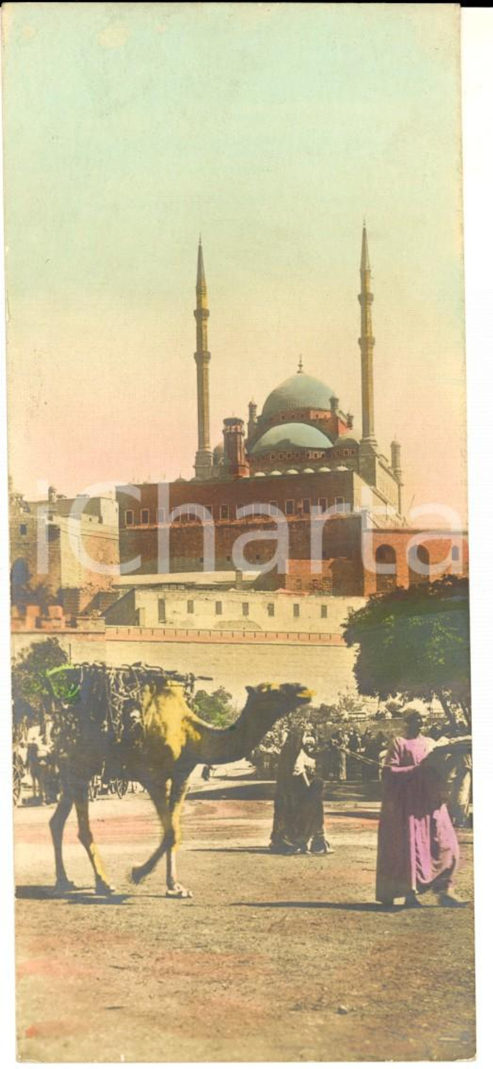 Cartolina originale da collezione 1905 ca IL CAIRO EGITTO Moschea con passaggio di cammelli Cartolina 14x6 cm 1