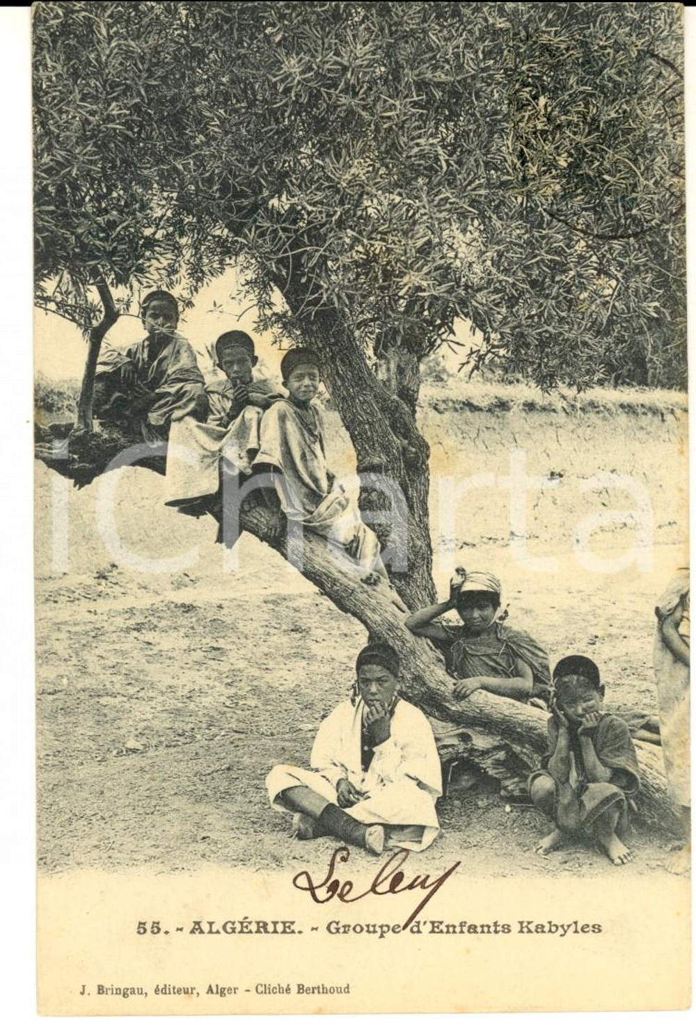 Cartolina originale da collezione 1905 ca COUTUMES ALGERIE Groupe enfants KABYLES Carte postale VINTAGE FP VG 1