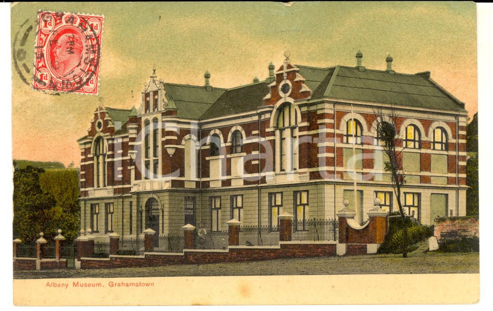 Cartolina originale da collezione 1913 GRAHAMSTOWN SOUTH AFRICA  The ALBANY MUSEUM Vintage postcard 1