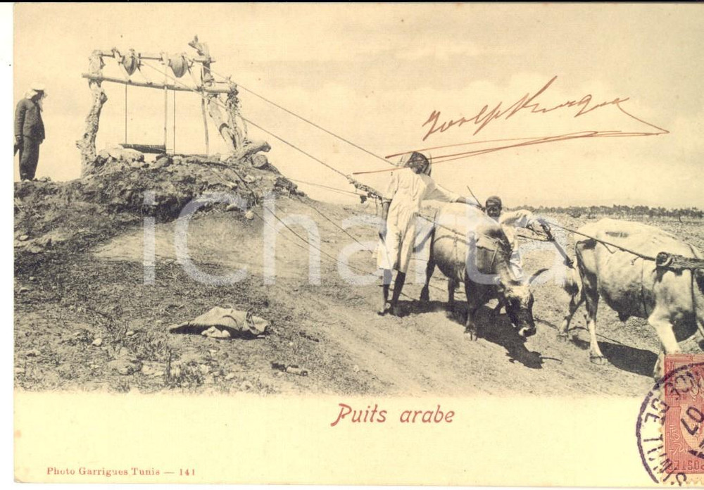 Cartolina originale da collezione 1907 COUTUMES TUNISIE Puits arabe Carte postale VINTAGE ANIMEE 1