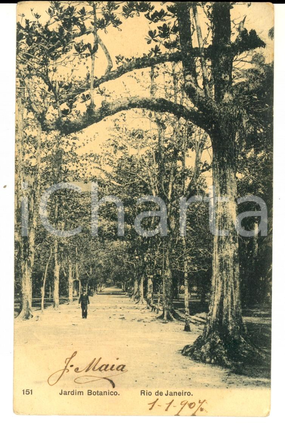 Cartolina originale da collezione 1907 RIO DE JANEIRO BRAZIL Jardim Botanico Cartolina ANIMATA FP VG 1