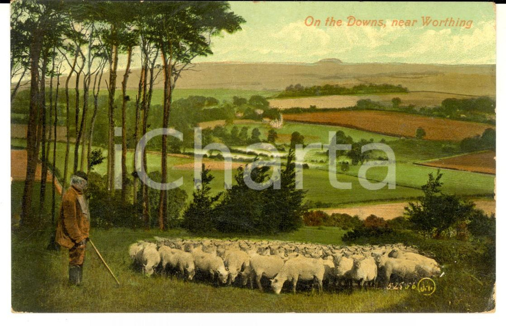 Cartolina originale da collezione 1908 WORTHING UK Shepherd on the DOWNS VINTAGE postcard 1