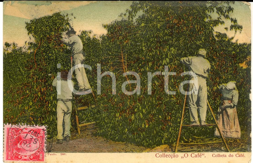 Cartolina originale da collezione 1912 COSTUMI BRASILE La racolta del caffÃ¨ Cartolina ANIMATA VINTAGE FP 1