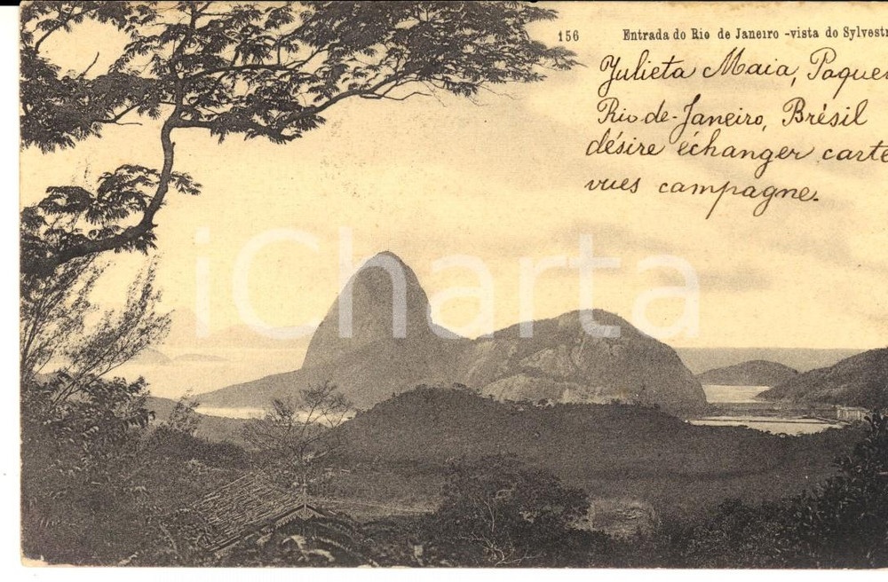 Cartolina originale da collezione 1905 RIO DE JANEIRO BRAZIL Entrada vista do SYLVESTRE Cartolina postale FP 1