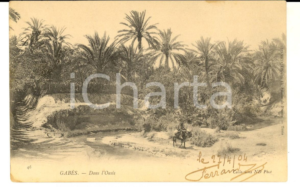 Cartolina originale da collezione 1904 COUTUMES TUNISIE GABES  Dans l oasis Carte postale VINTAGE ANIMEE 1