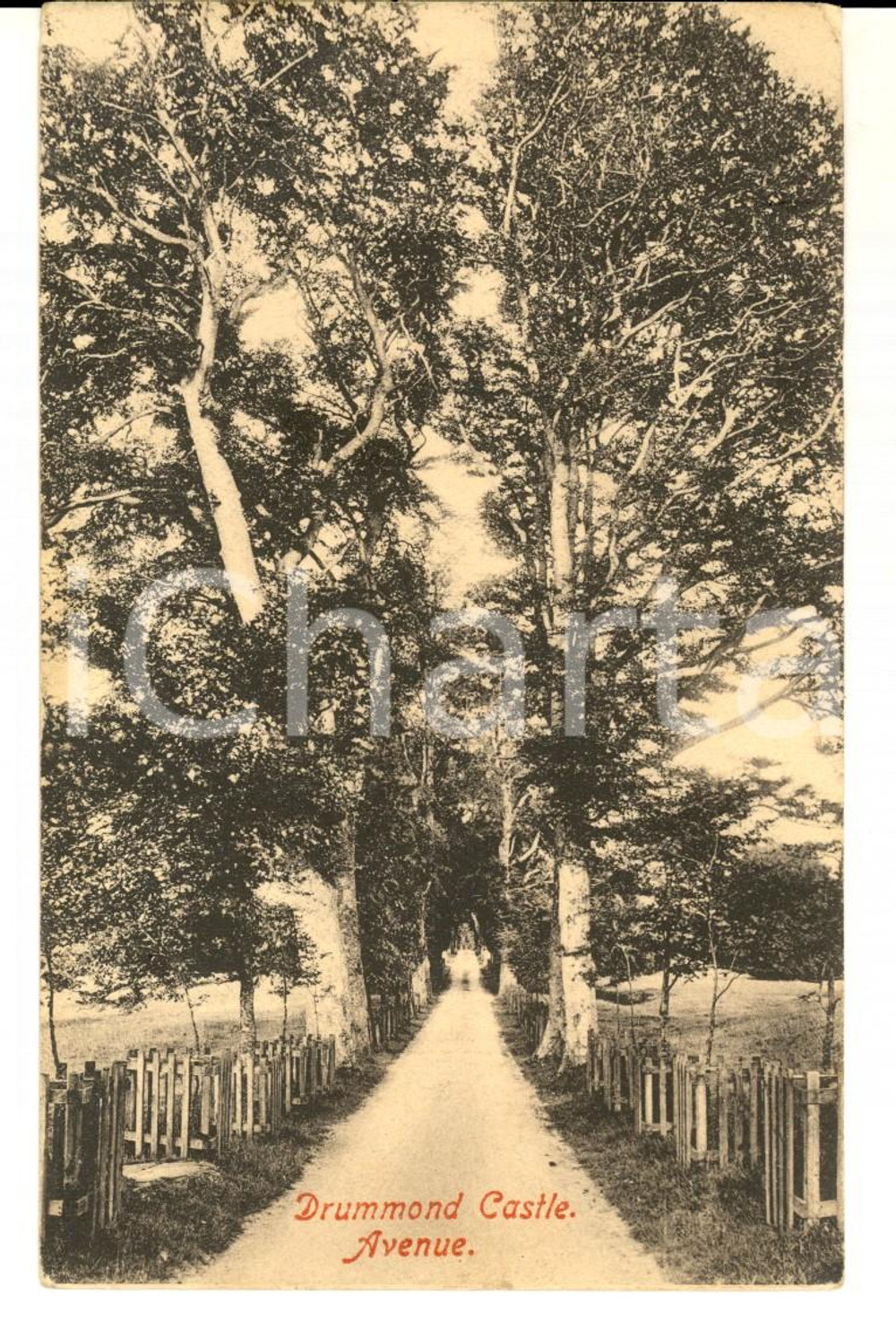 Cartolina originale da collezione 1904 PERTHSHIRE UK DRUMMOND Castle  Avenue VINTAGE postcard FP 1