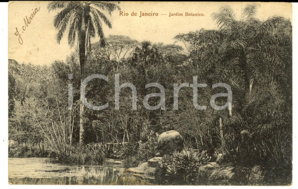 Cartolina originale da collezione 1906 RIO DE JANEIRO BRAZIL Jardim Botanico Cartolina postale FP VG 1