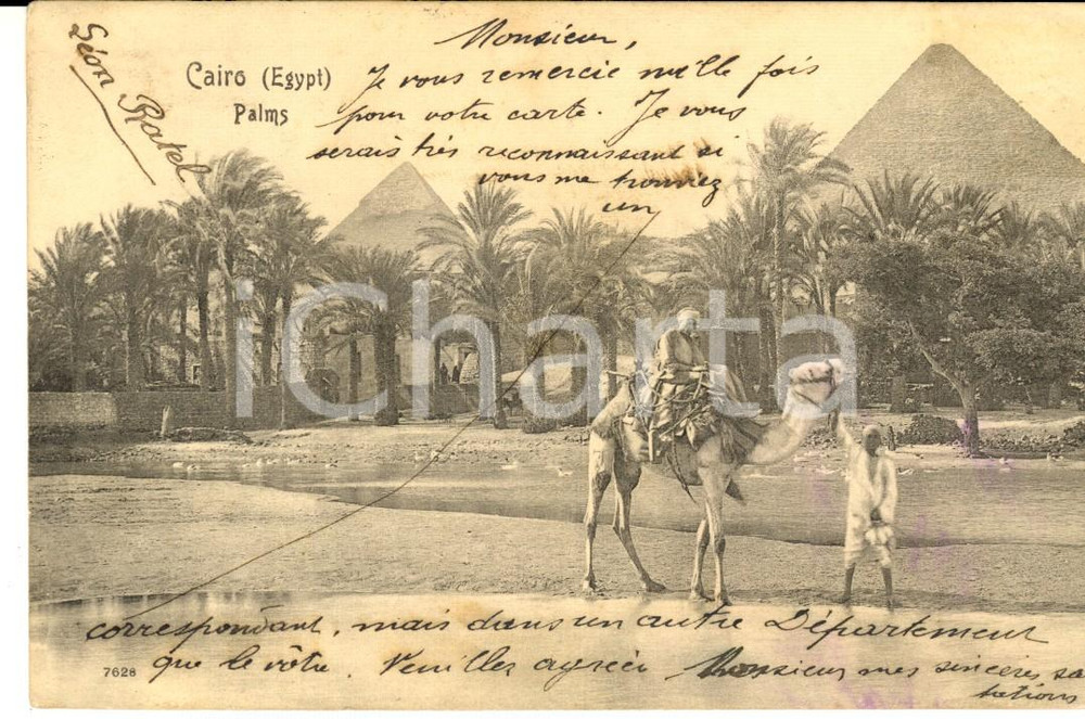 Cartolina originale da collezione 1905 ca IL CAIRO EGITTO Palme e piramidi Cartolina ANIMATA ILLUSTRATA 1