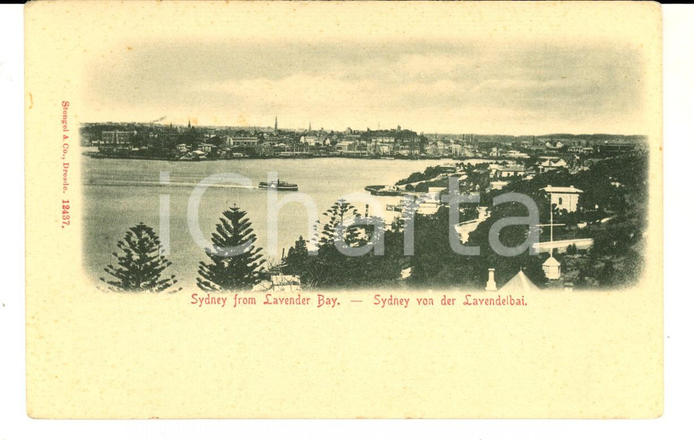 Cartolina originale da collezione 1900 ca SYDNEY AUSTRALIA View from LAVENDER BAY VINTAGE postcard 1