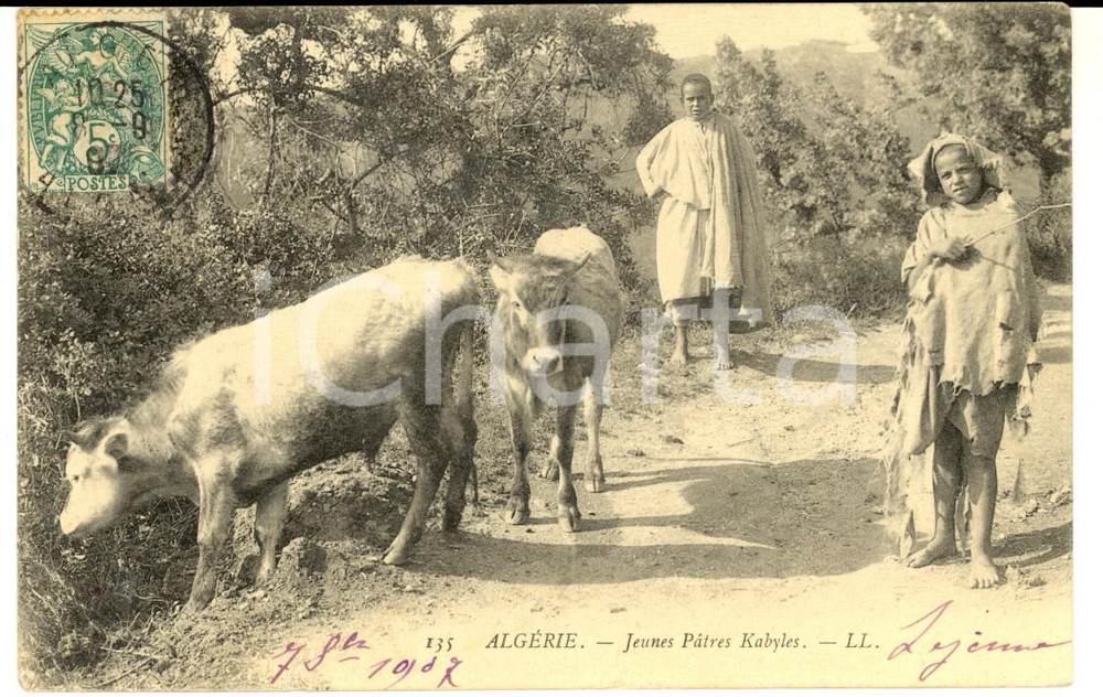 Cartolina originale da collezione 1907 COSTUMES ALGERIE Jeunes pÃ¢tres KABYLES Carte postale VINTAGE FP VG 1