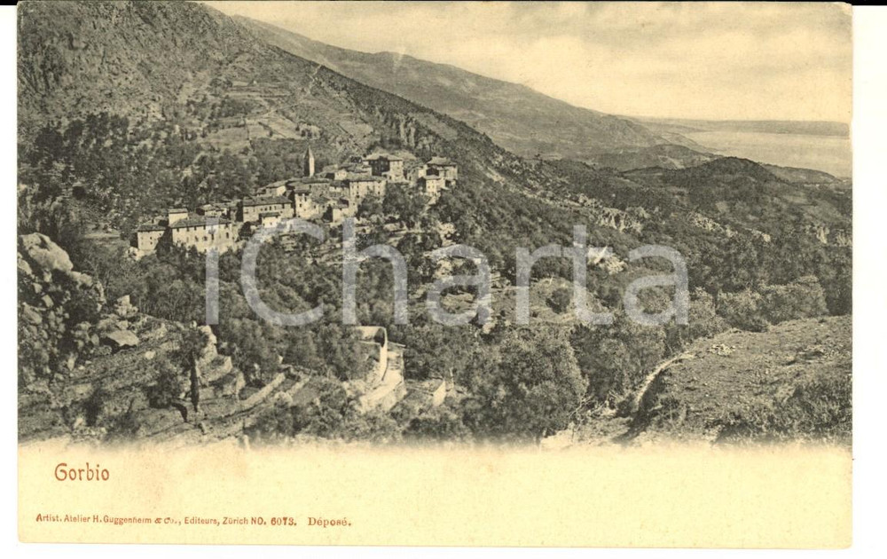 Cartolina originale da collezione 1900 ca GORBIO ALPI MARITTIME, FRANCIA Panorama Cartolina VINTAGE FP NV 1
