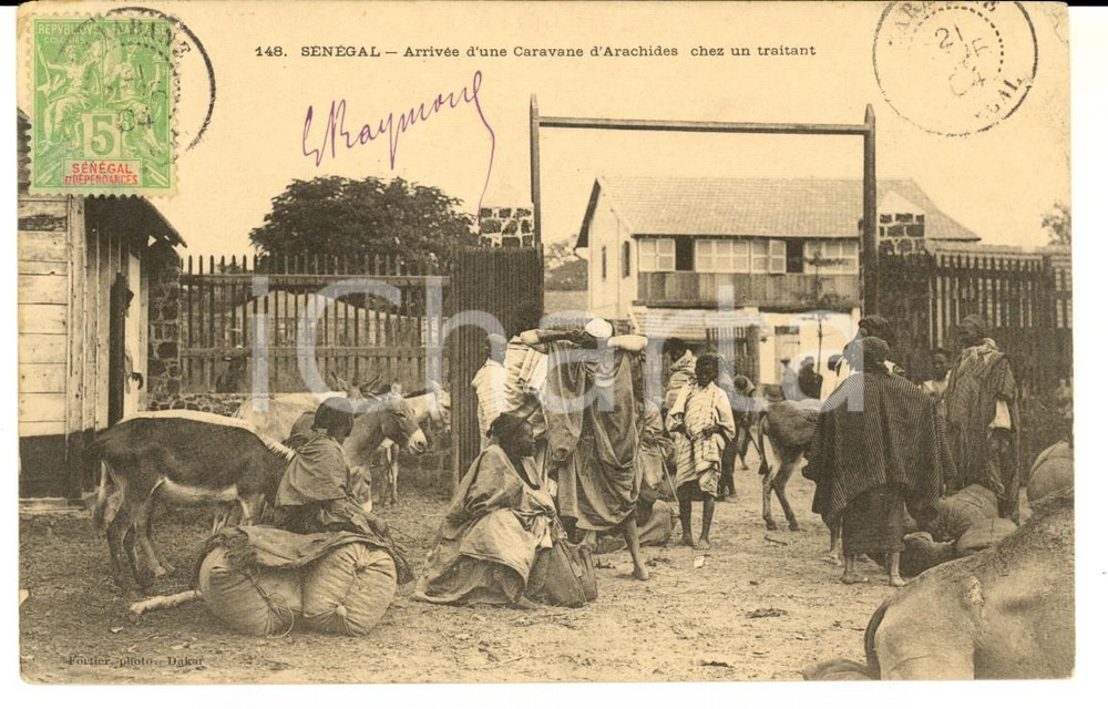 Cartolina originale da collezione 1904 SENEGAL ArrivÃ©e d une caravane d arachides chez un traitant Carte postale 1