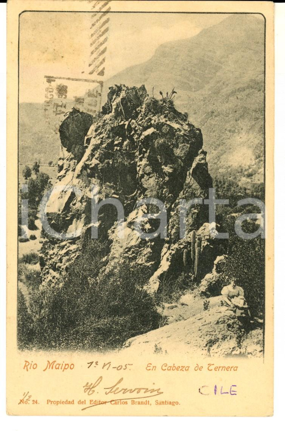 Cartolina originale da collezione 1905 CHILE Rio MAIPO En Cabeza de Ternera Tarjeta postal VINTAGE 1