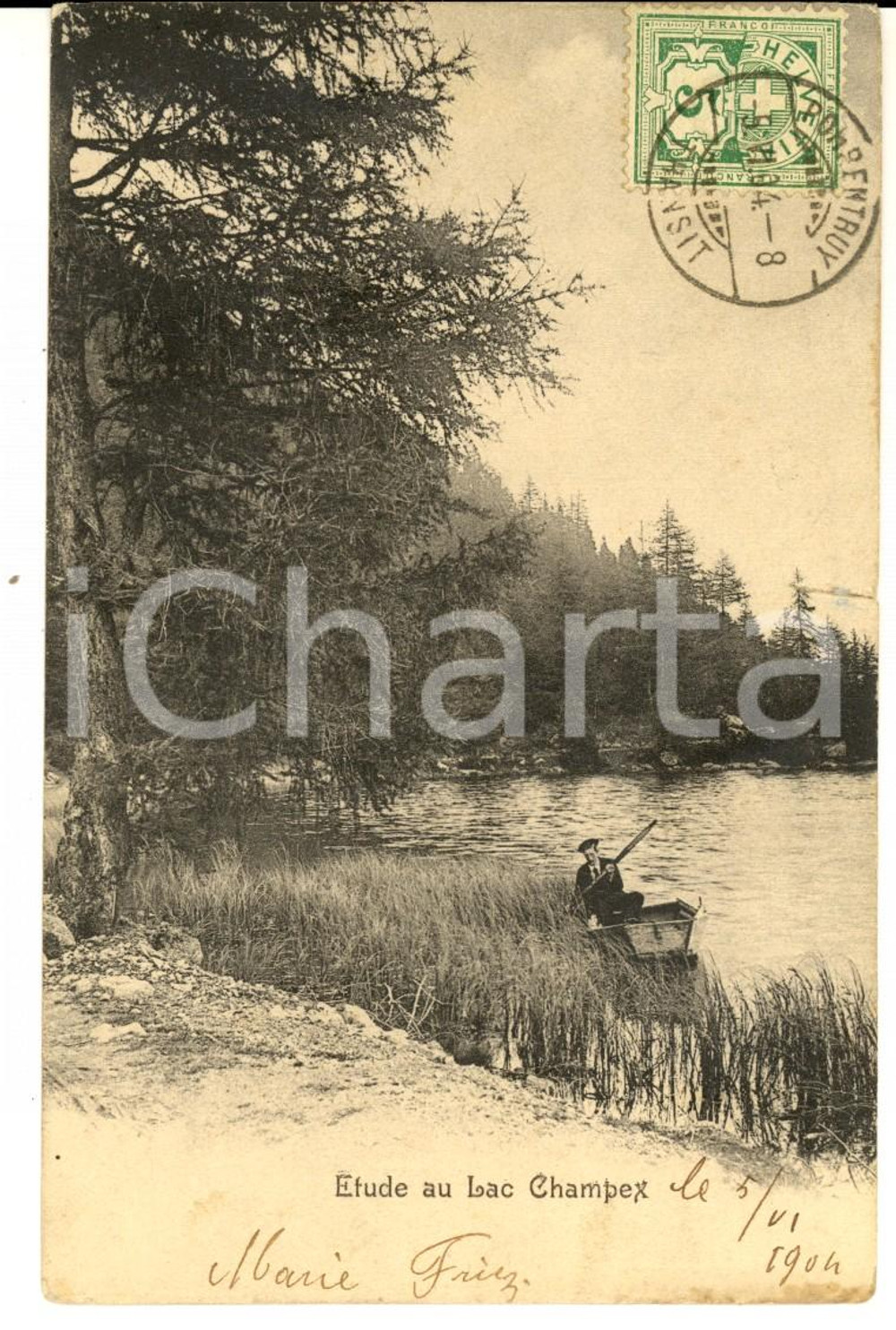 Cartolina originale da collezione 1904 LAC CHAMPEX SUISSE Etude Carte postale VINTAGE ANIMEE 1