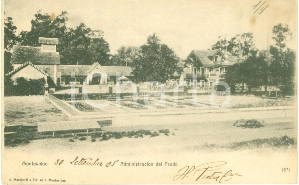 Cartolina originale da collezione 1905 MONTEVIDEO URUGUAY Administracion del PRADO Cartolina postale FP NV 1