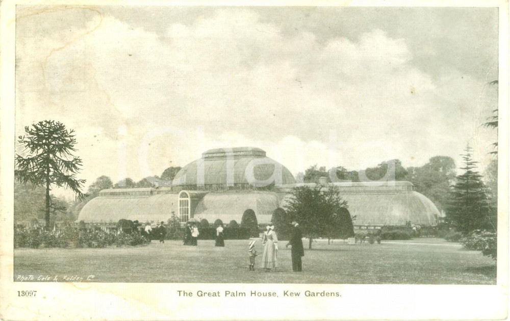 Cartolina originale da collezione 1900 ca KEW GARDENS UK The Great Palm House Cartolina postale FP VG 1