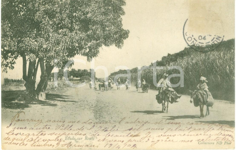 Cartolina originale da collezione 1904 ALGERIE Etude sur Route Cartolina postale ANIMATA FP VG 1