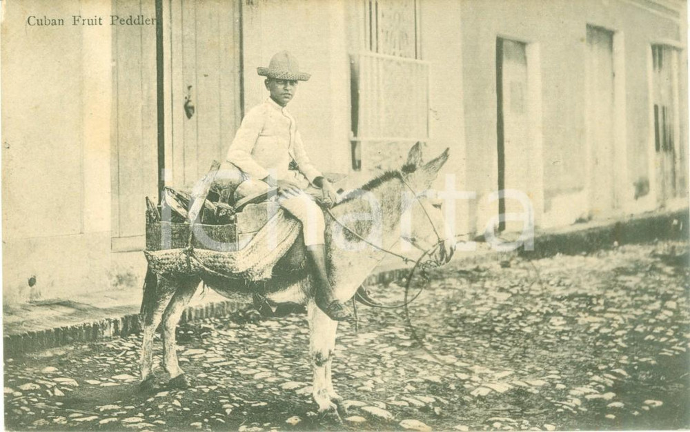 Cartolina originale da collezione 1905 LA HABANA CUBA Venditore ambulante di frutta su asinello Cartolina FP VG 1