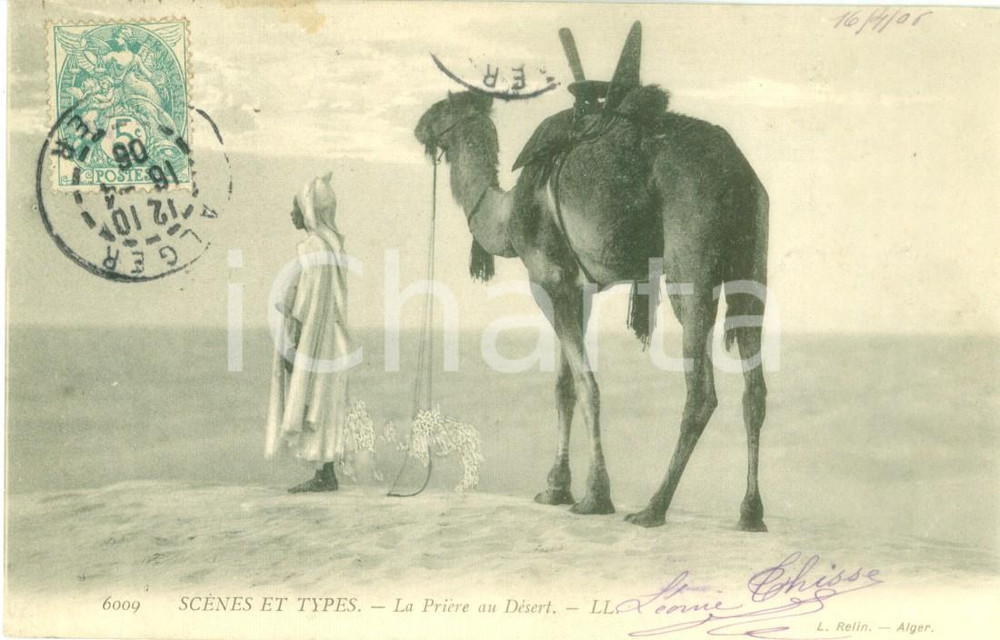 Cartolina originale da collezione 1906 ALGERIA Arabo e cammello pregano nel deserto Cartolina ANIMATA FP VG 1