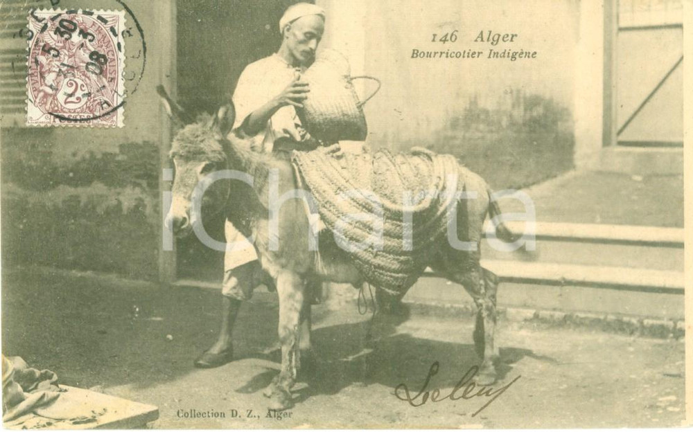 Cartolina originale da collezione 1908 ALGER Asinaio indigeno carica gerle sull asino Cartolina ANIMATA FP NV 1