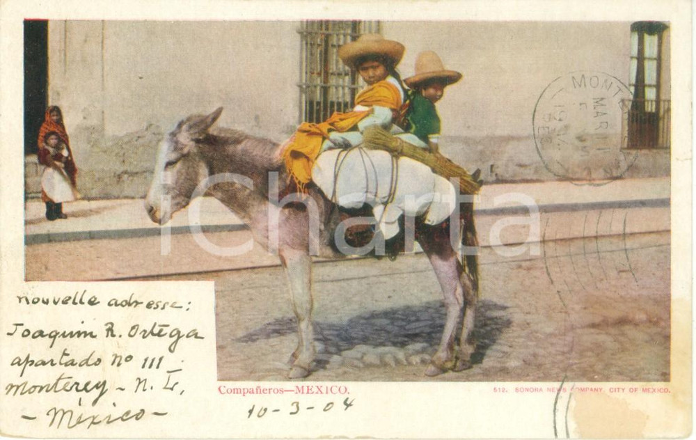 Cartolina originale da collezione 1904 MEXICO Due piccoli companeros su un asinello Cartolina ANIMATA FP VG 1