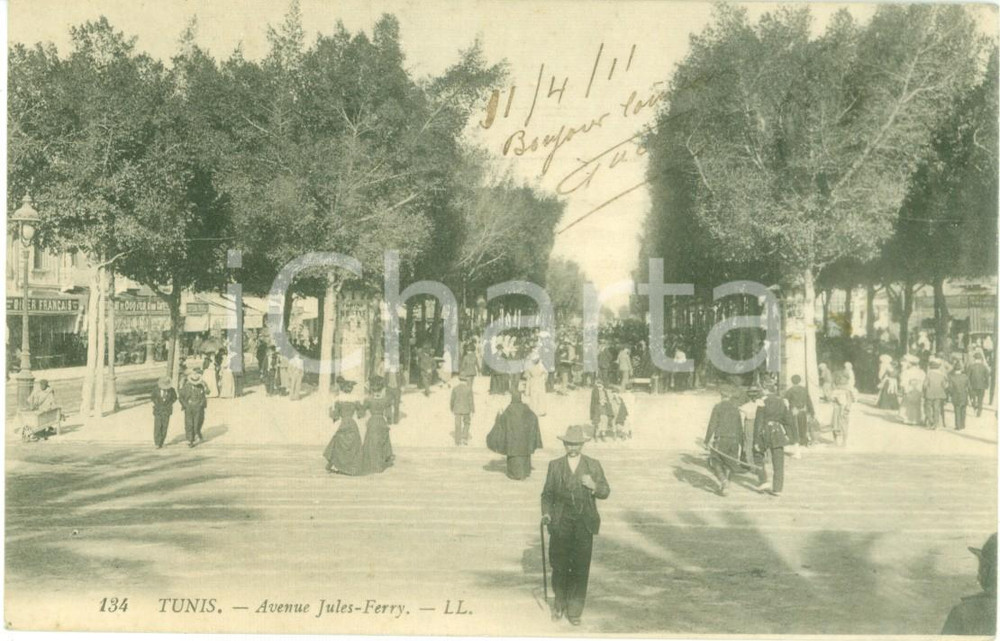 Cartolina originale da collezione 1911 TUNIS Borghesi e dame in Avenue JULESFERRY Cartolina ANIMATA FP VG 1