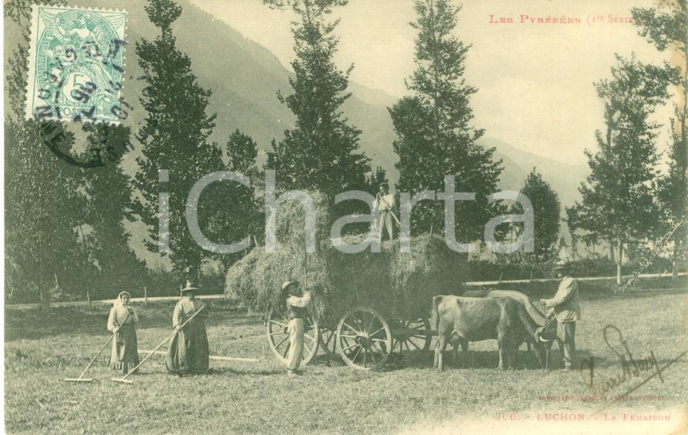 Cartolina originale da collezione 1906 LES PYRENEES Contadini con carro di buoi raccolgono fieno Cartolina FP VG 1