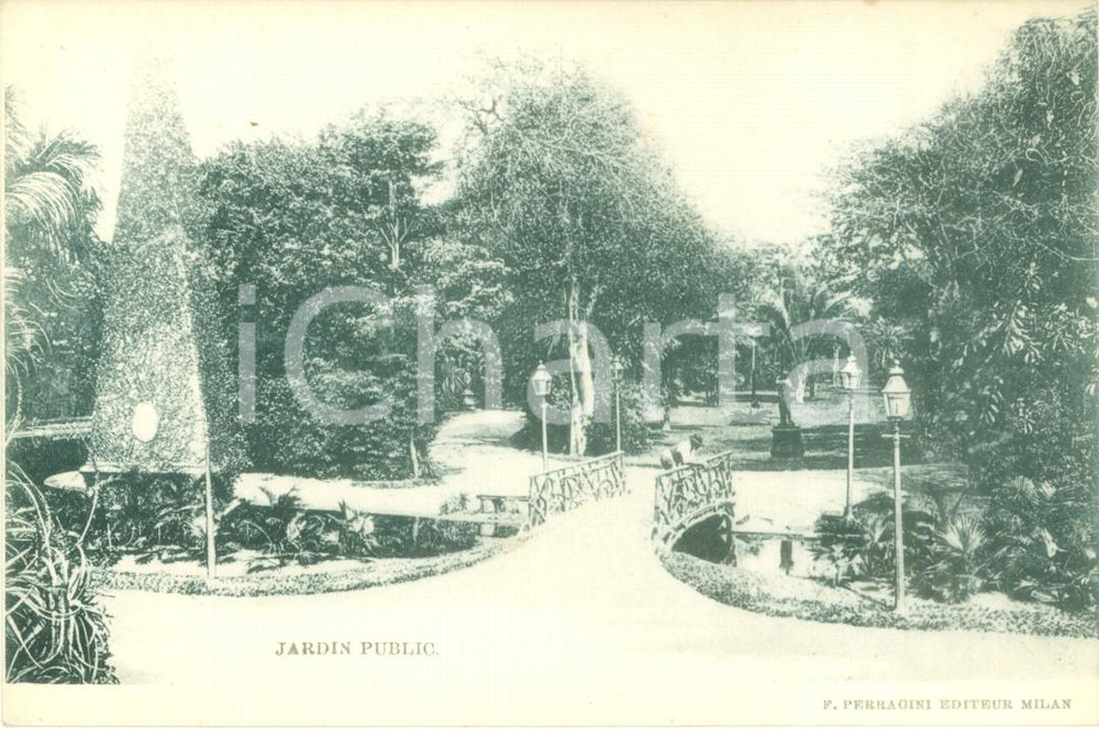 Cartolina originale da collezione 1900 ca RIO DE JANEIRO BRASILE Giardini pubblici Cartolina postale FP NV 1