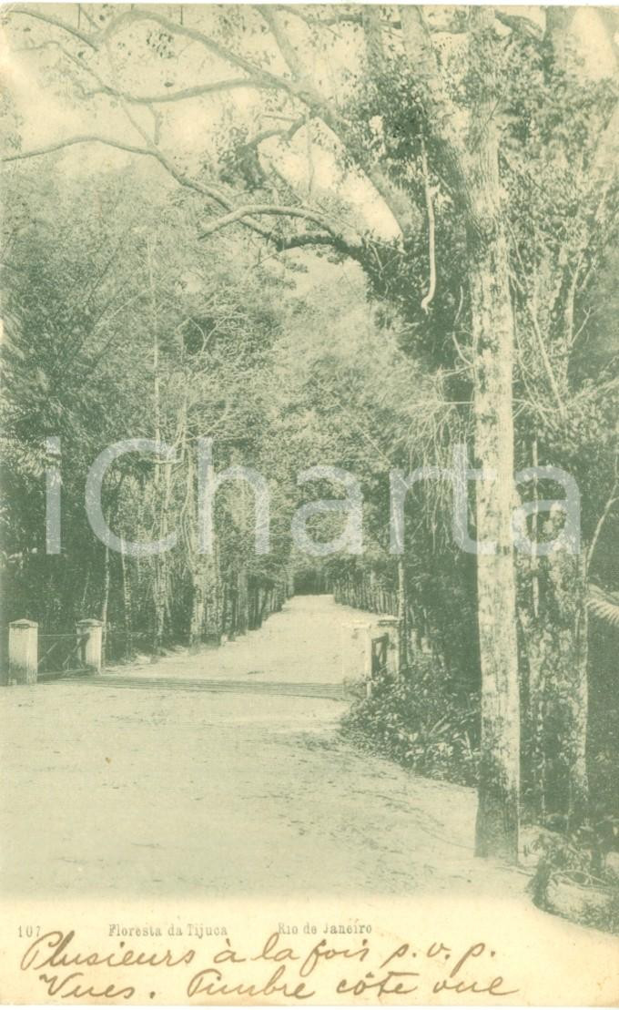 Cartolina originale da collezione 1908 RIO DE JANEIRO BRASILE Floresta da TIJUCA Cartolina postale FP VG 1