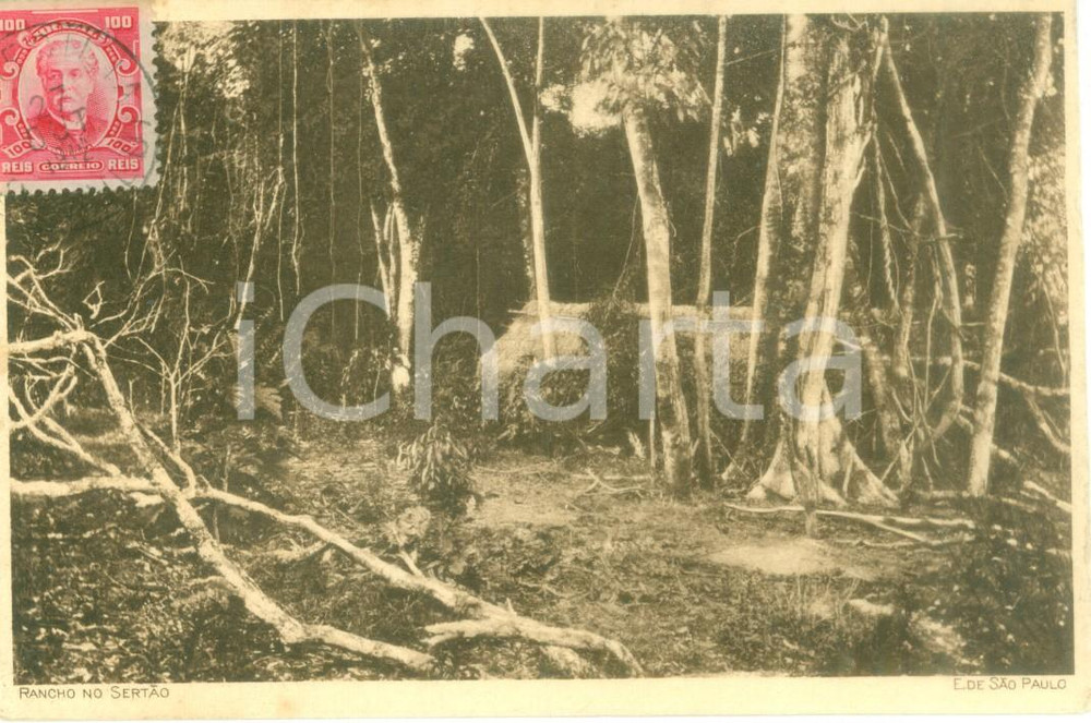 Cartolina originale da collezione 1912 SAO PAULO BRASILE Rancho no Sertao Cartolina postale FP VG 1