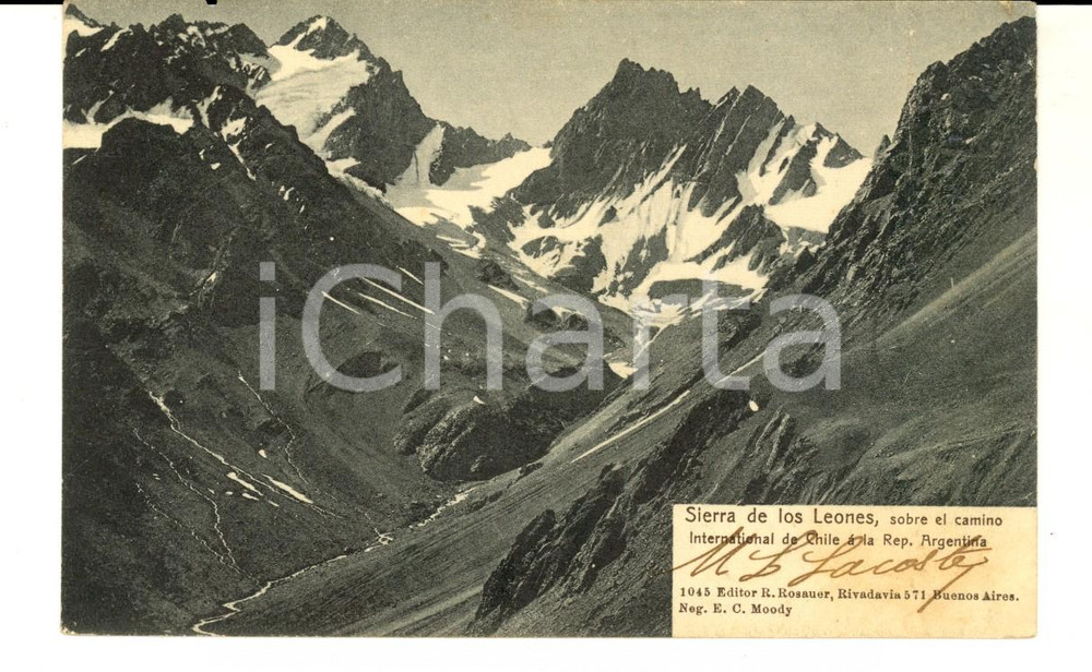 Cartolina originale da collezione 1900 ca SIERRA DE LEONES CHILE Sobre el camino international Tarjeta VINTAGE 1
