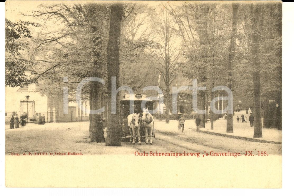 Cartolina originale da collezione 1900 ca L AIA NL Oude Scheveningscheweg Cartolina ANIMATA con carrozza 1