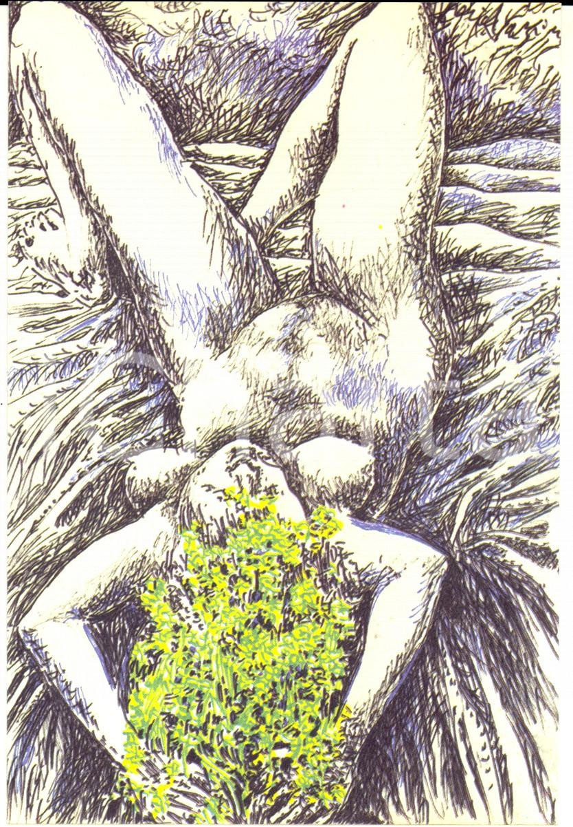 Cartolina originale da collezione 19/1983 Cartolina bozzetto Pericle FAZZINI Mimosa Edizione numerata nÂ°122 1