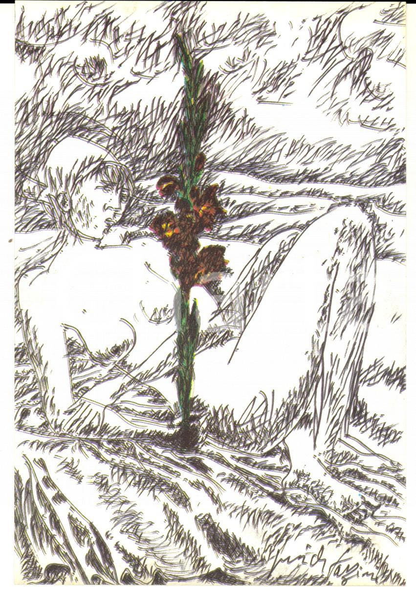 Cartolina originale da collezione 21/1983 Cartolina bozzetto Pericle FAZZINI Gladiolo Edizione numerata nÂ°122 1