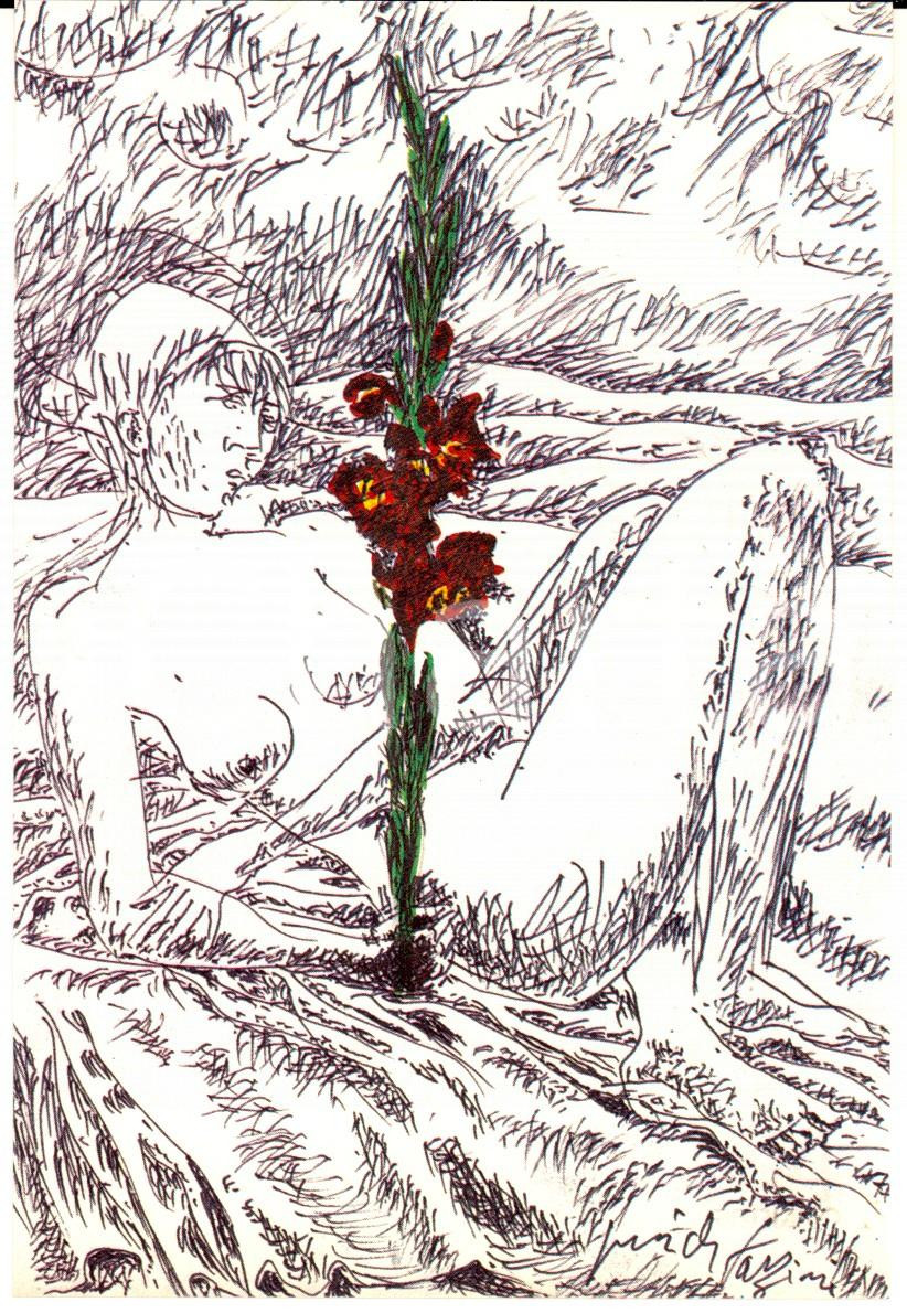 Cartolina originale da collezione 21/1983 Cartolina bozzetto Pericle FAZZINI Gladiolo Edizione numerata nÂ°0026 1