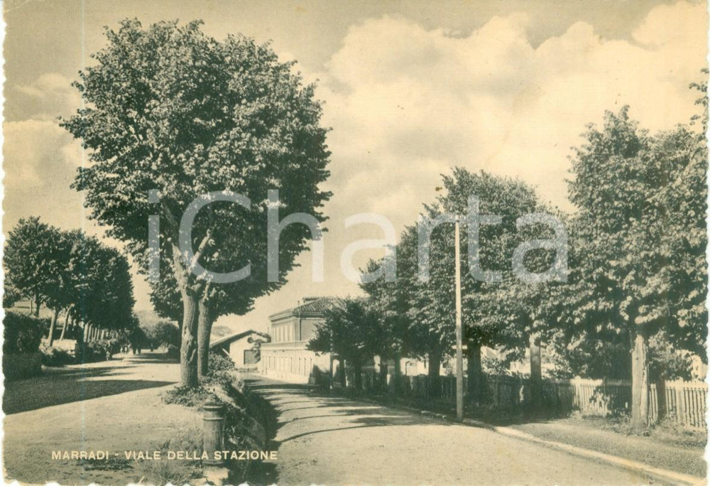 Cartolina originale da collezione 1951 MARRADI FI veduta del Viale della Stazione Cartolina FG VG 1
