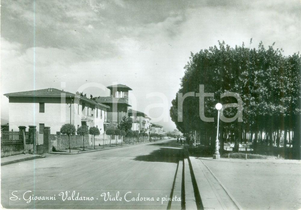 Cartolina originale da collezione 1957 SAN GIOVANNI VALDARNO AR Viale CADORNA e pineta Cartolina FG VG 1