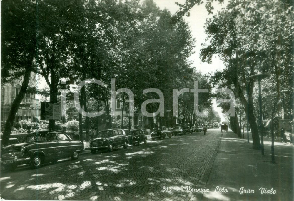 Cartolina originale da collezione 1958 VENEZIA LIDO Automobili parcheggiate sul Gran Viale Cartolina FG VG 1
