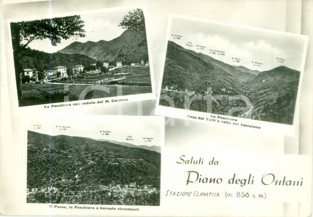 Cartolina originale da collezione 1957 CUTIGLIANO Vedutine Stazione climatica PIAN DEGLI ONTANI Cartolina FG VG 1