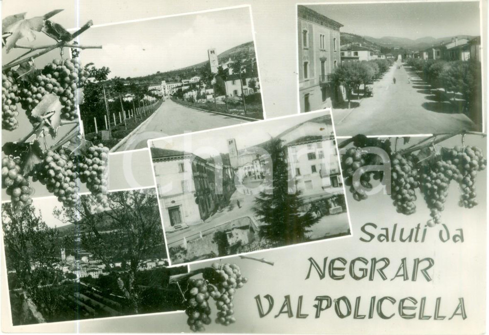 Cartolina originale da collezione 1960 ca NEGRAR VR Vedutine della VALPOLICELLA Cartolina FG VG 1