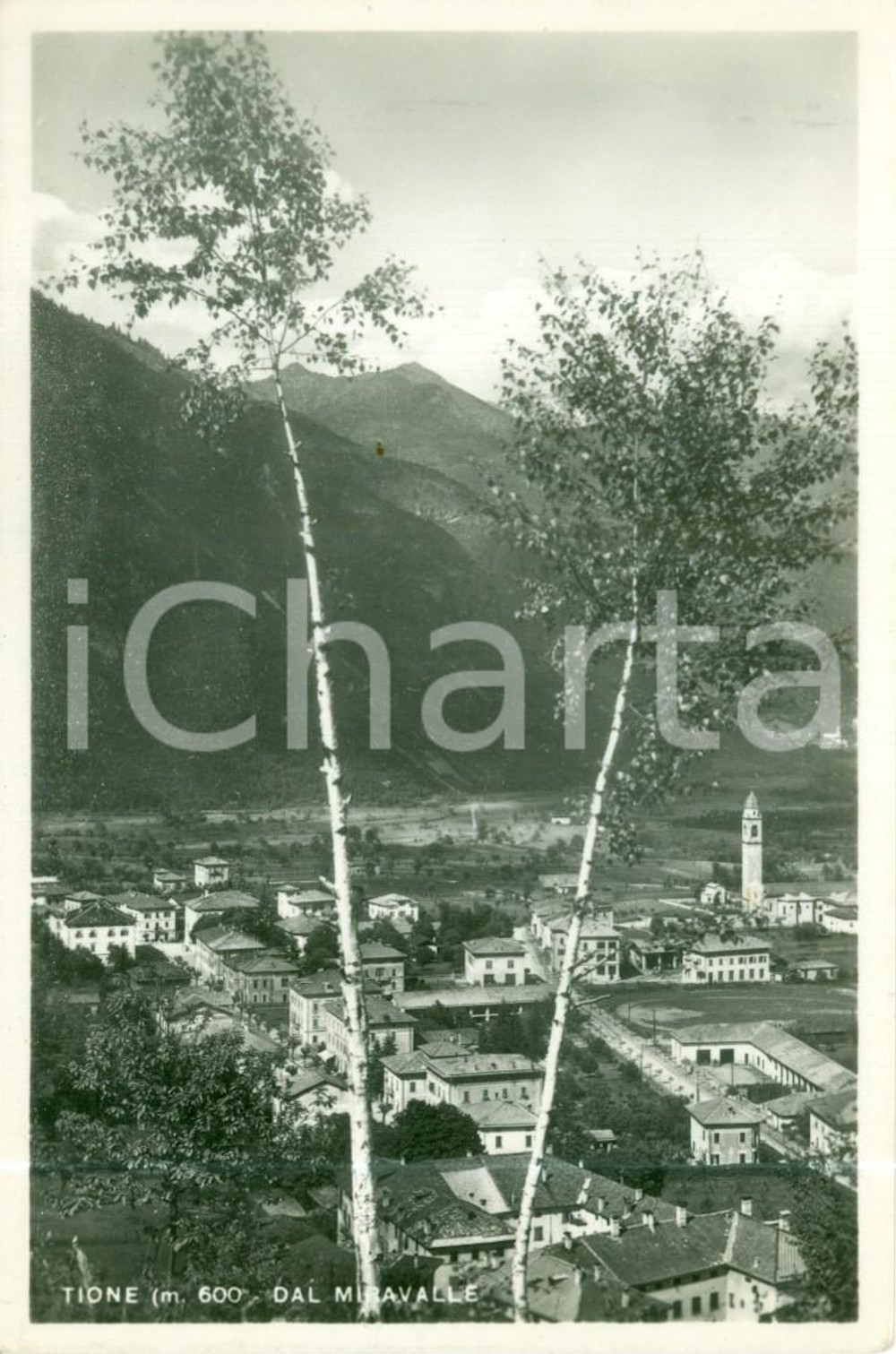 Cartolina originale da collezione 1954 TIONE DI TRENTO Panorama del paese dal MIRAVALLE Cartolina FP VG 1