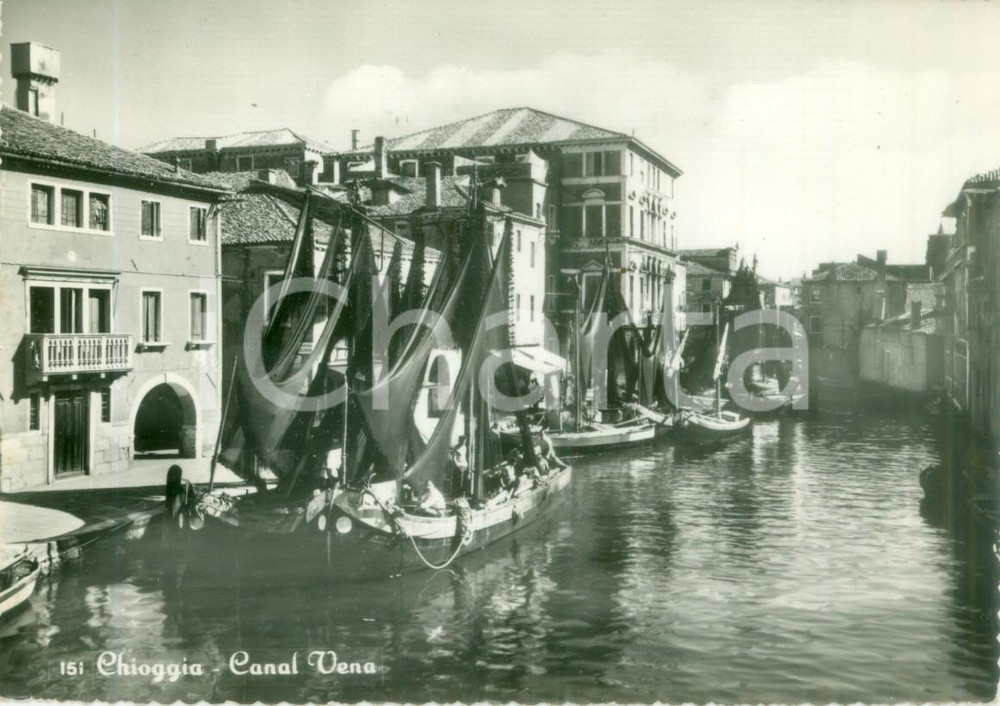 Cartolina originale da collezione 1959 CHIOGGIA VE Barche al Canal Vena Cartolina ANIMATA FG VG 1