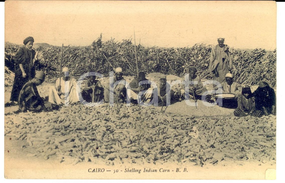 Cartolina originale da collezione 1920 ca CAIRO EGYPT Shelling Indian Carn VINTAGE postcard ANIMATED 1