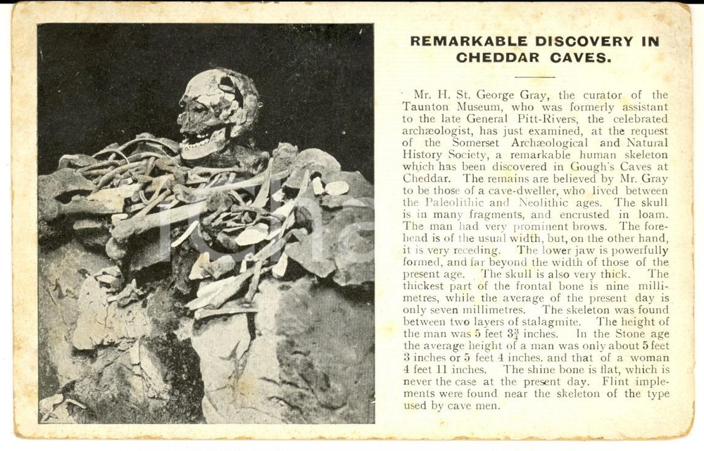 Cartolina originale da collezione 1910 ca CHEDDAR CAVES Somerset, UK  A remarkable discovery VINTAGE postcard 1