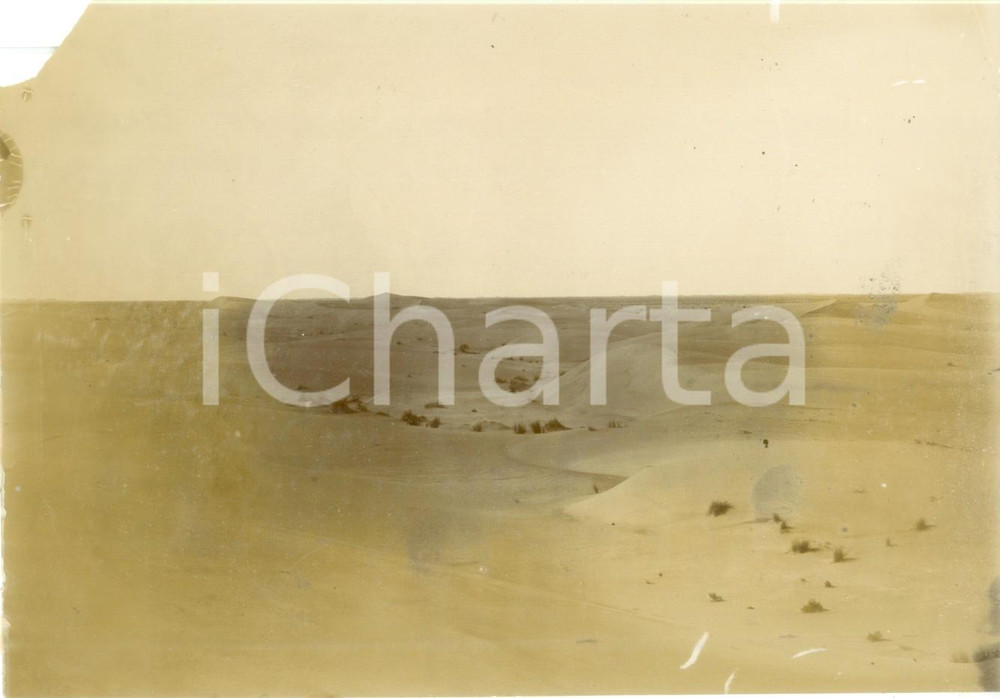 Fotografia d epoca originale 1892 ALGERIA La regione delle dune Fotografia DANNEGGIATA cm 17 x 12 1