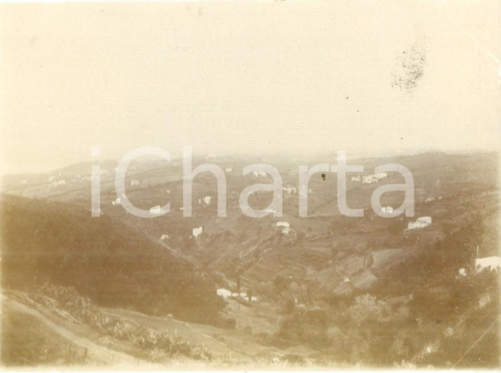 Fotografia d epoca originale 1894 ALGER ALGERIE Paesaggio della BOUZAREAH Fotografia cm 11 x 8 1