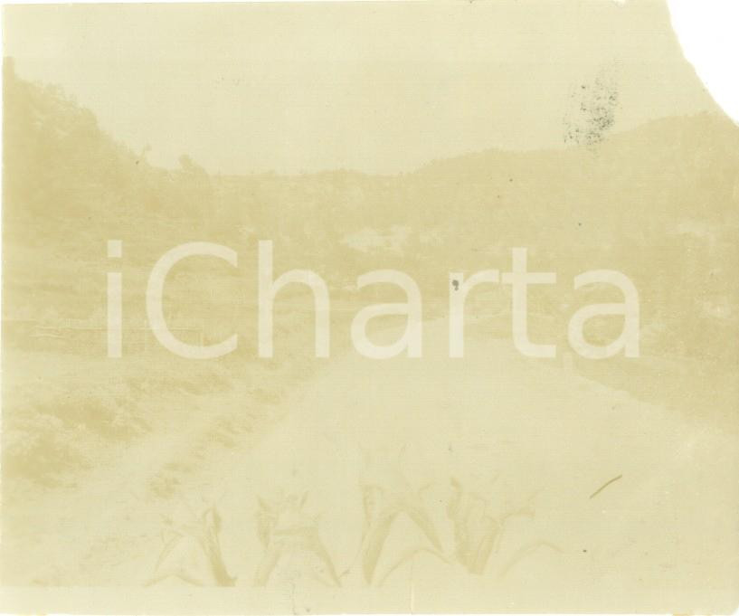 Fotografia d epoca originale 1894 BEN CHIKAO ALGERIE A cavallo lungo la strada di LAGHOUAT Foto cm 10 x 8 1