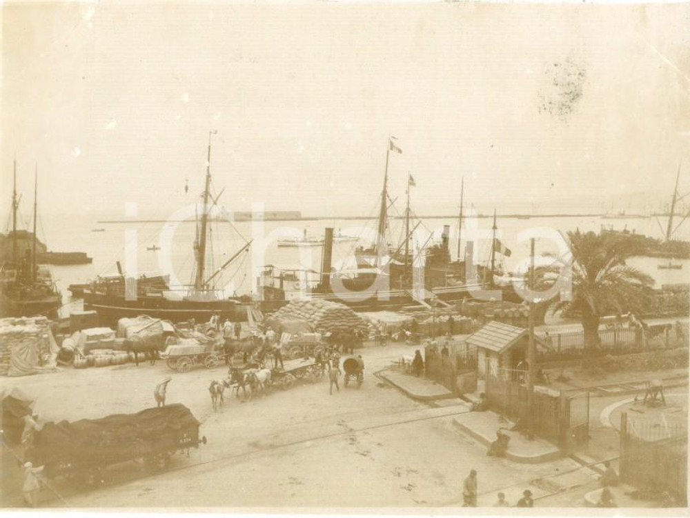 Fotografia d epoca originale 1894 ALGER ALGERIE Carri di carico al porto merci Fotografia cm 11 x 8 1