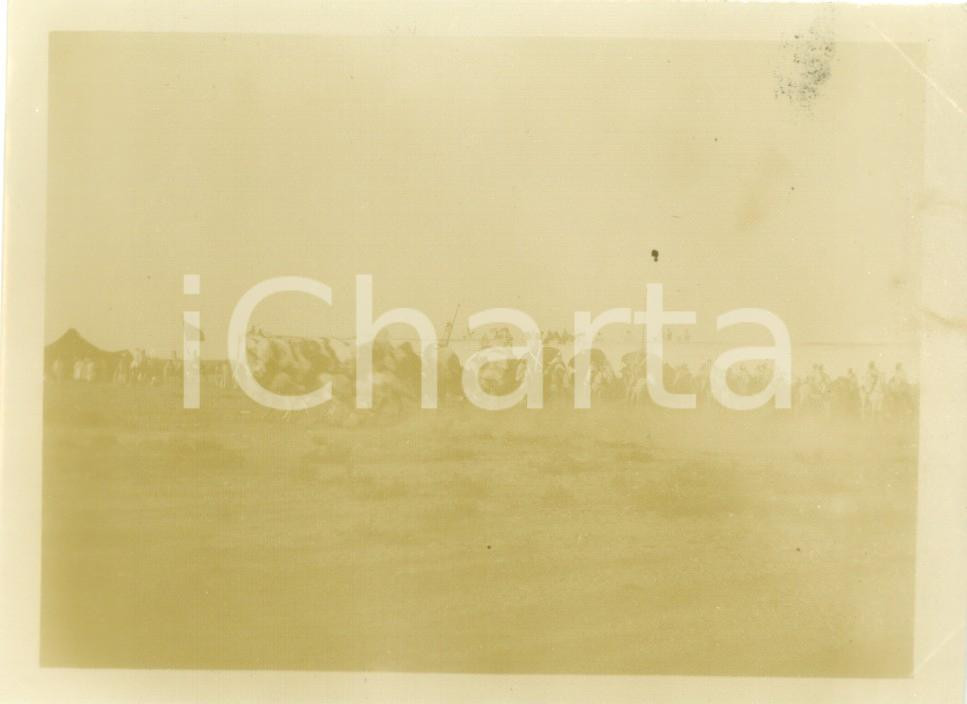 Fotografia d epoca originale 1894 ALGER ALGERIE Cavalcata di fantasia araba Fotografia cm 12 x 9 1